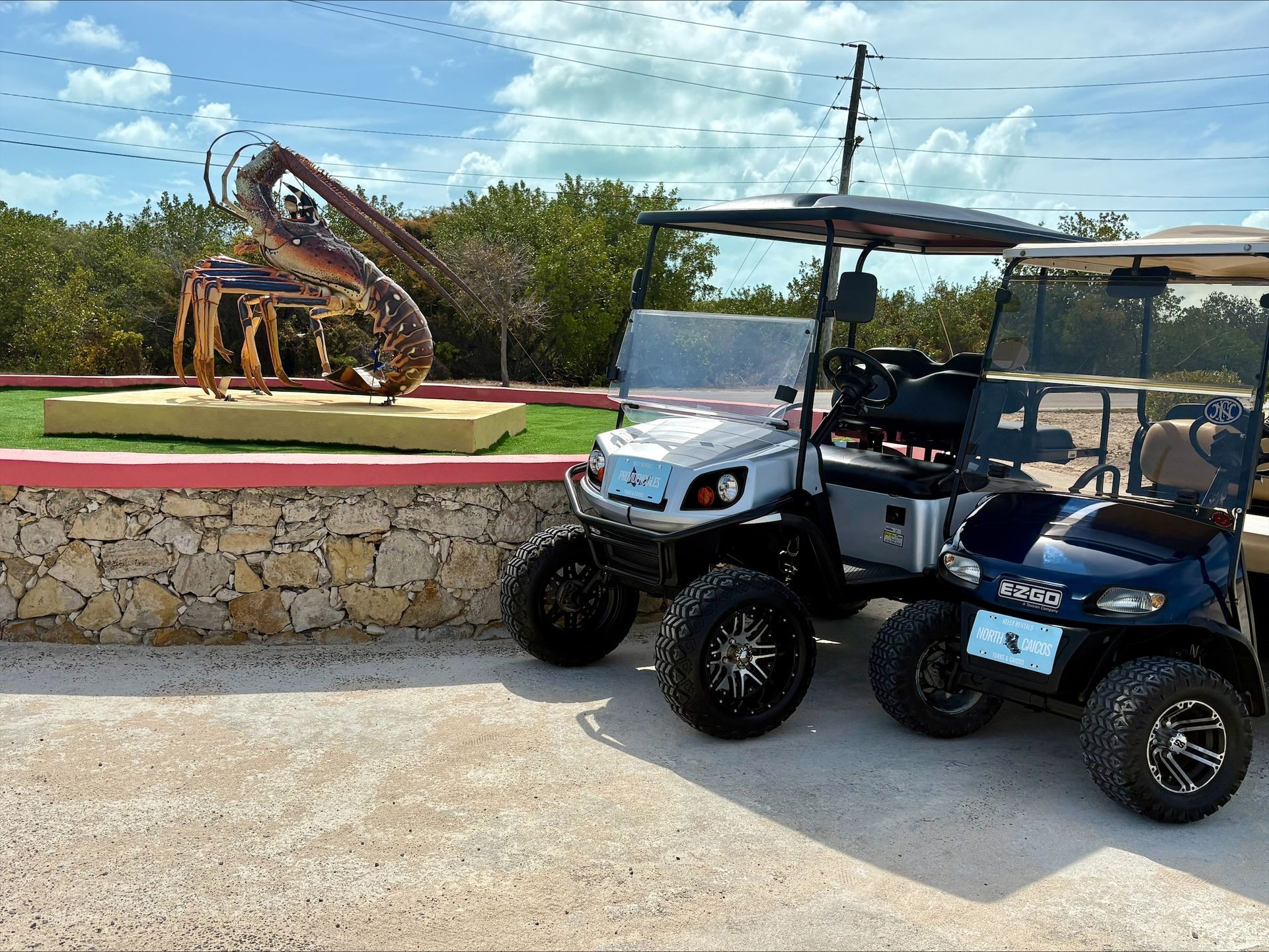 Full Day Cart Rental